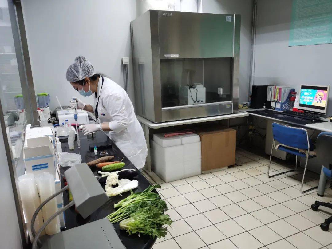 临高食品检测实验室装修方案